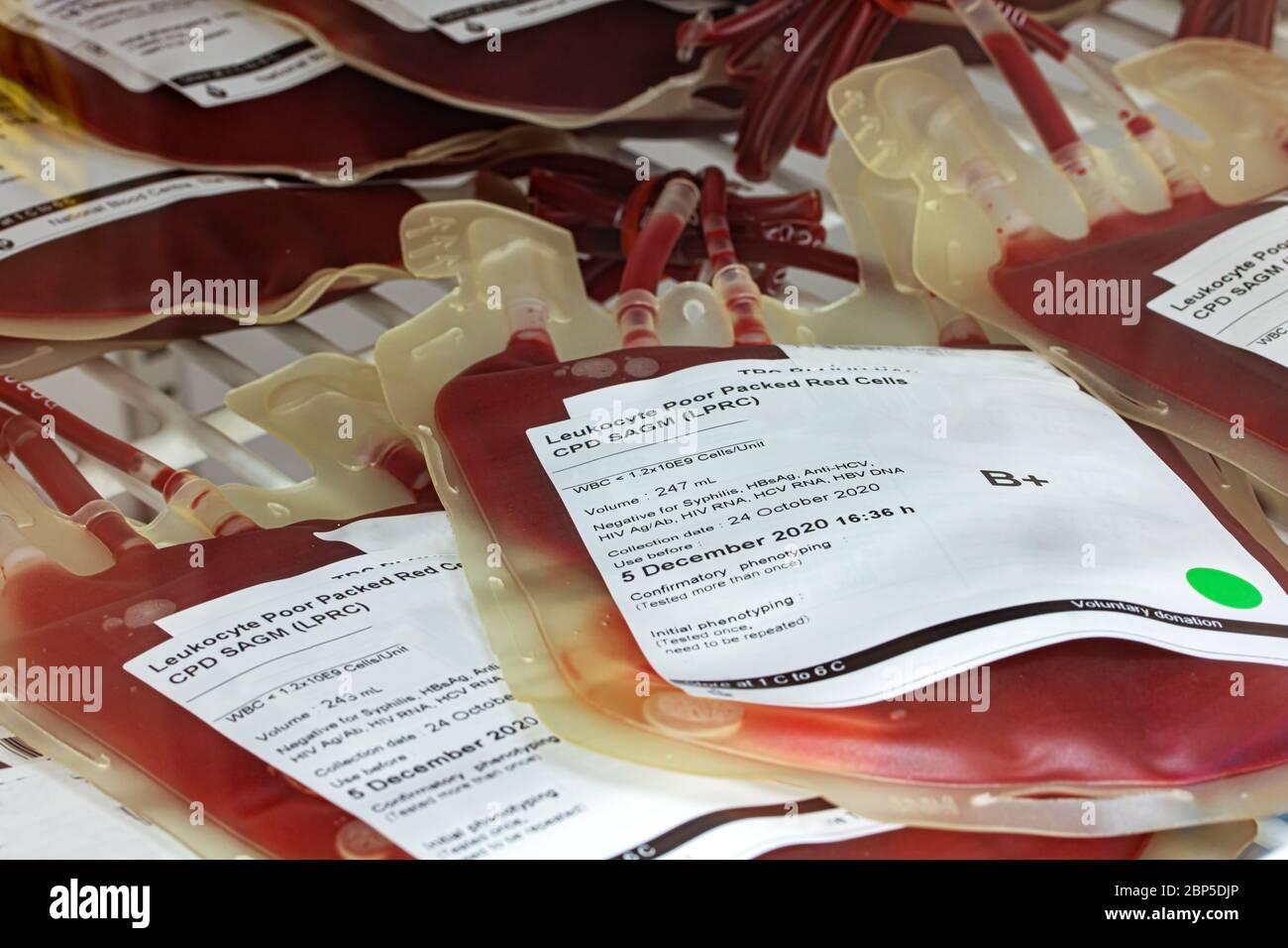I sacchetti di plastica con il sangue immagazzinato nel deposito Ospedale. Foto Stock