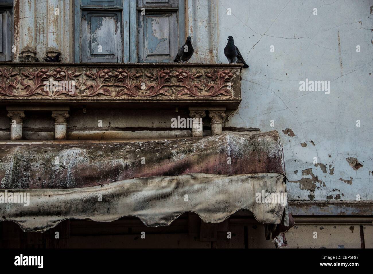Pidgeon neri vicino alla finestra di una casa abbandonata con un'inclinazione rossa sopra di loro Foto Stock