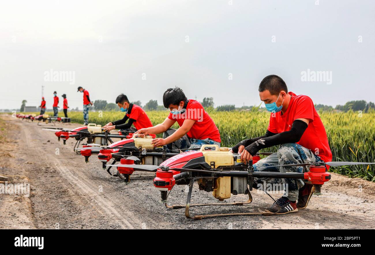 Pechino, provincia cinese di Hebei. 17 maggio 2020. I membri del personale si sono dati da fare per il debug di droni agricoli in un campo di grano nel villaggio di Bingmazhai nella contea di Linzhang, nella provincia di Hebei, nella Cina settentrionale, il 17 maggio 2020. Credit: Wang Xiao/Xinhua/Alamy Live News Foto Stock
