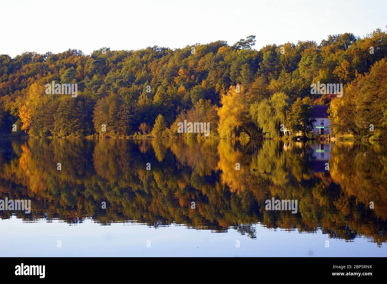 Perfetto riflesso di alberi nel fiume Indrois, Francia centrale Foto Stock