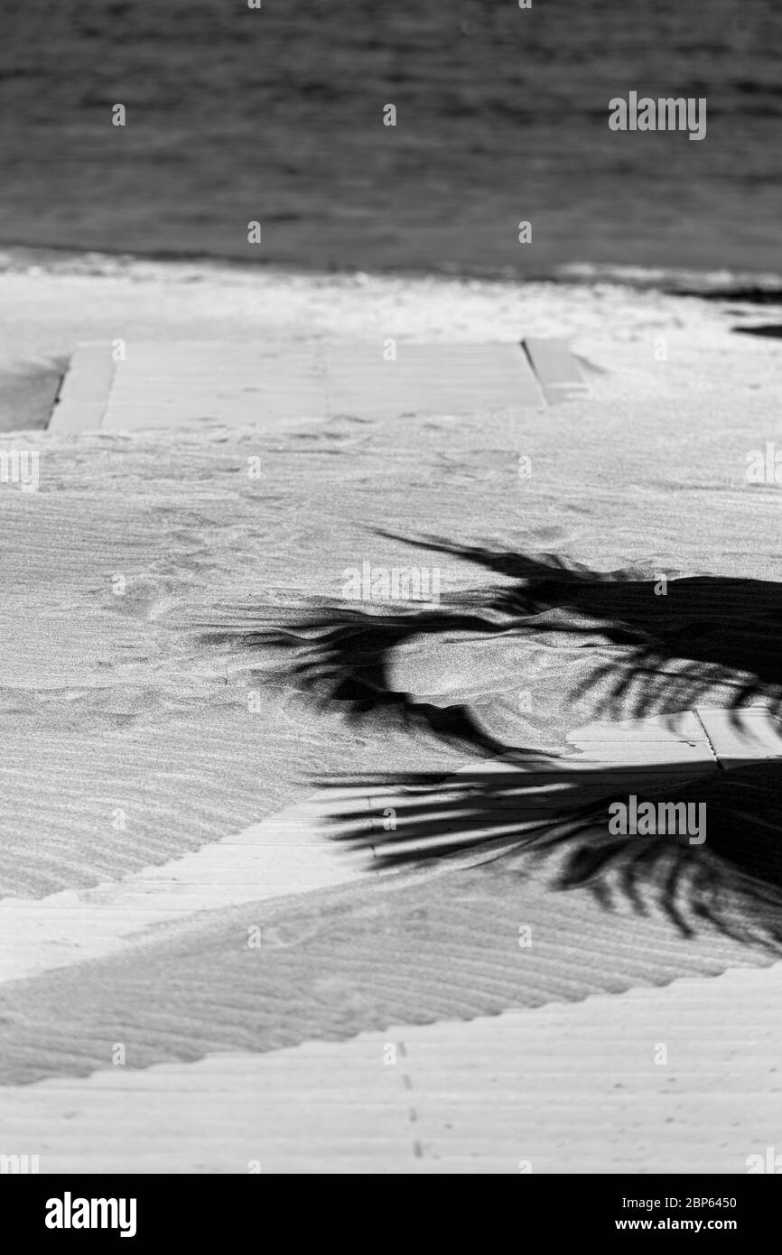 Immagini astratte con ombre di palme sulla sabbia sulla spiaggia di Playa Fanabe durante la fase uno di de-escalation del Covid 19, coronavirus, Stato di Foto Stock