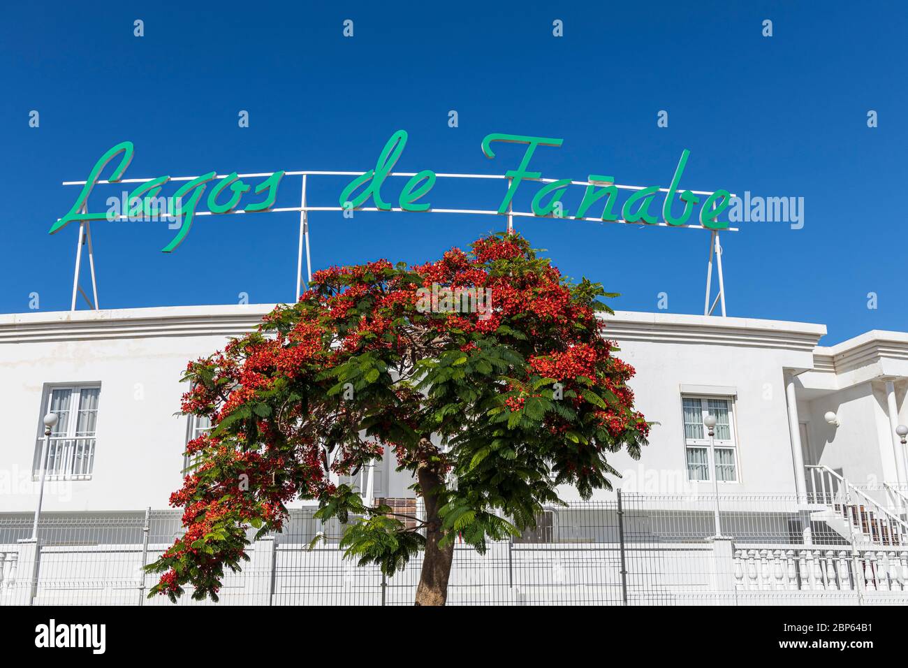 Lagos de Fanabe aparthotel e albero flamboyant, regione di Delonix, durante la fase uno di de-escalation del Covid 19, coronavirus, stato di emergenza, ventilatore Foto Stock