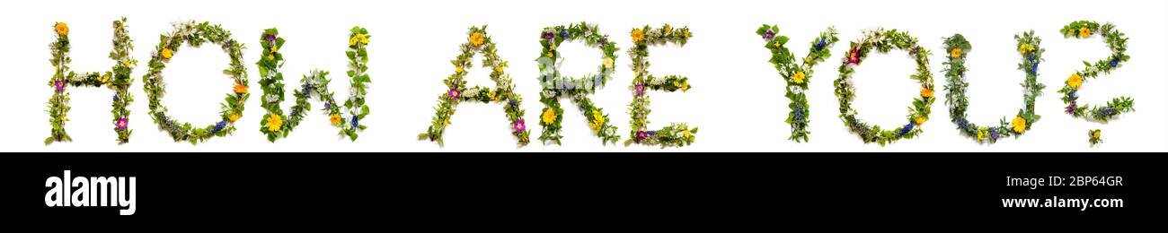 Fiore e lettera di fiore che costruisce la parola come siete Foto Stock