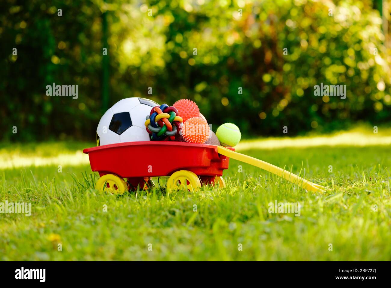 Concetto di arricchimento della vita dei cani con carrello pieno di palle e giocattoli per animali domestici e sportivi Foto Stock