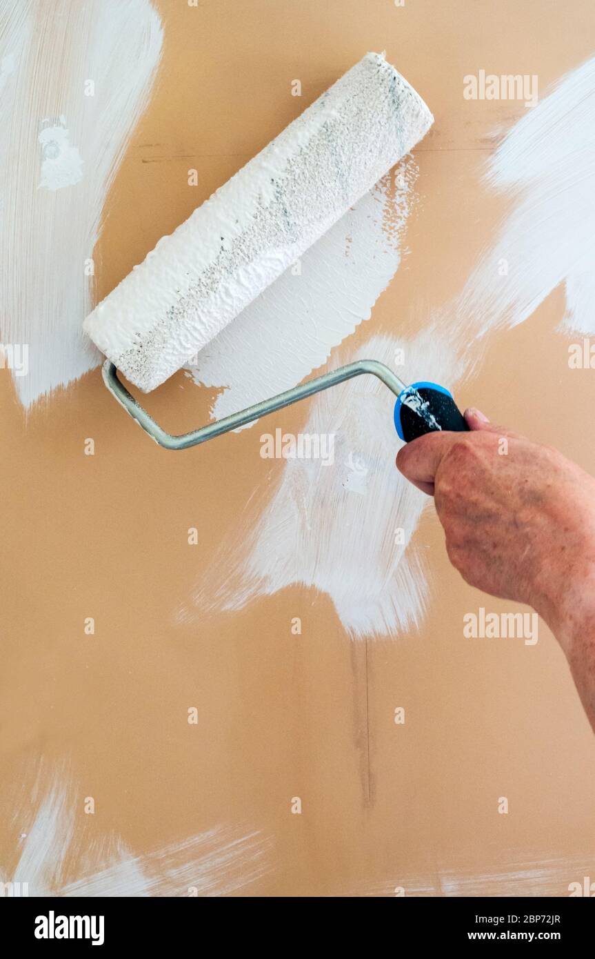 Decorazione di casa. Verniciatura di un bianco da parete preparato con un rullo di vernice. Foto Stock