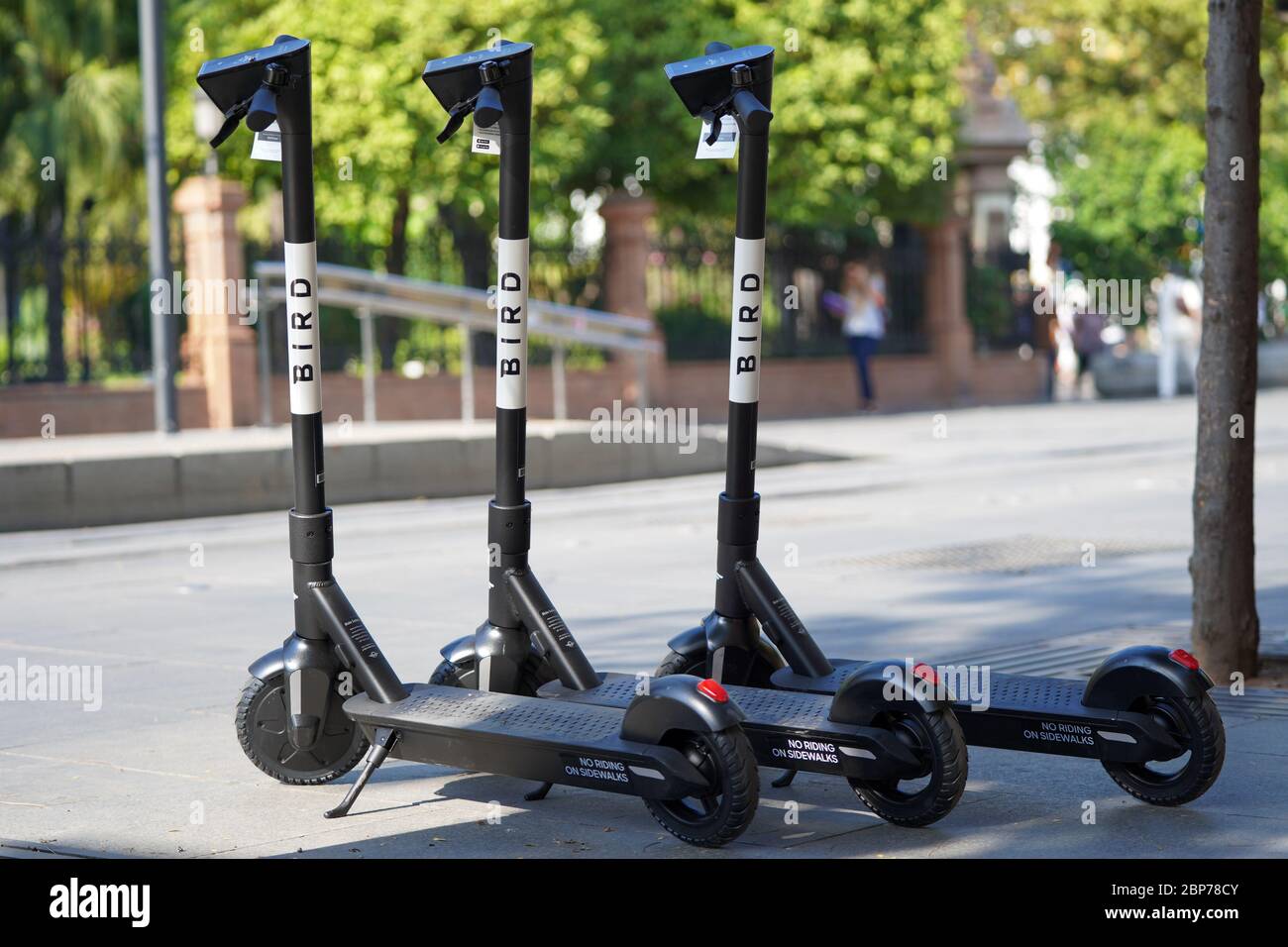 Symbolfotos und Symbolbilder des neuen e-Scooter Anbieters BIRD mit Logo in Deutschland. Foto Stock