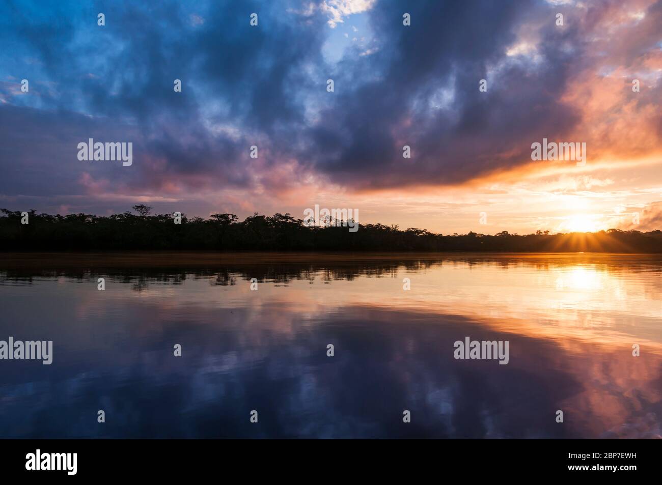 Tramonto nella riserva naturale Cuyabeno Foto Stock