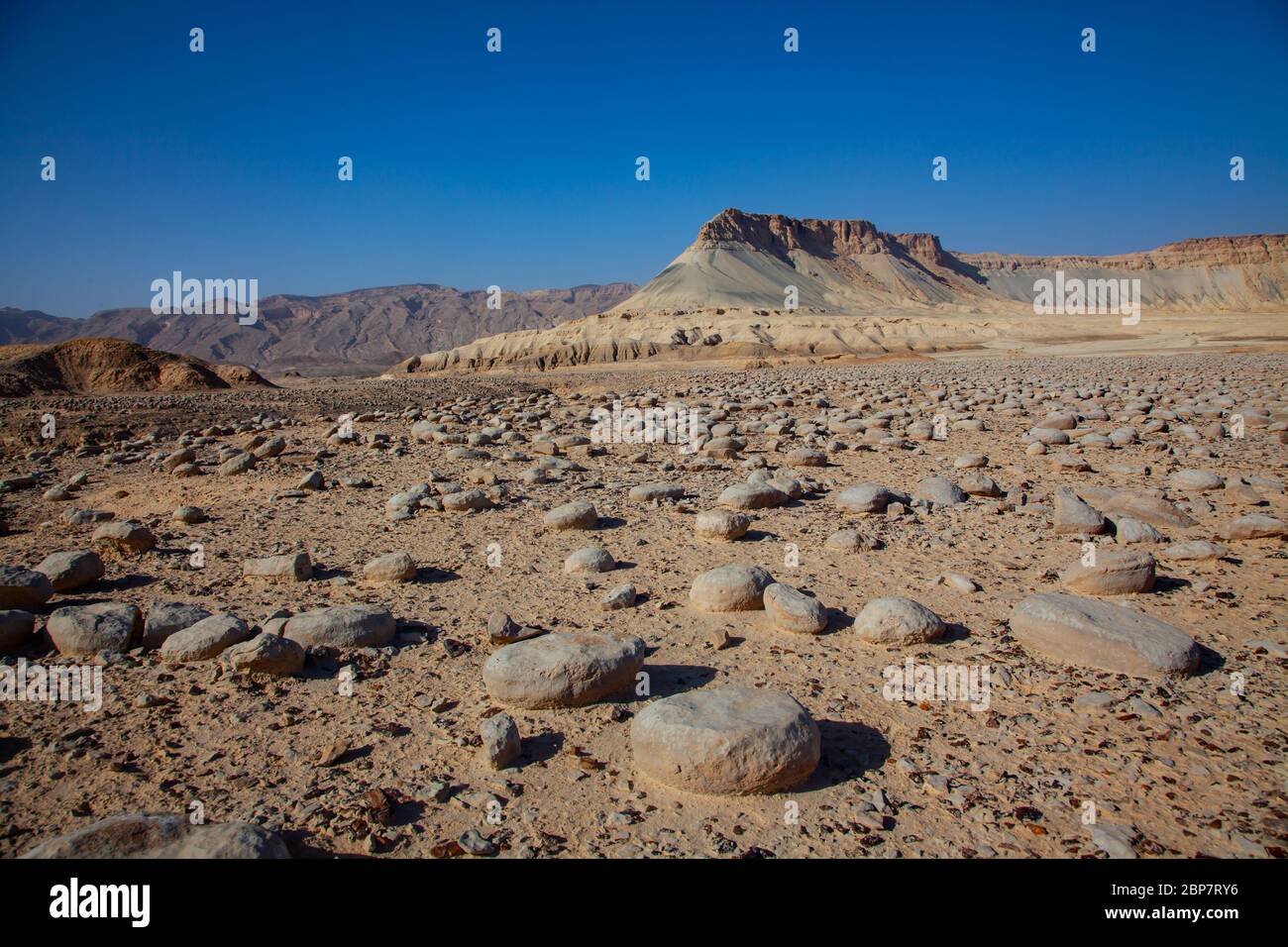 Israele, paesaggio del deserto di Negev. Il campo di roccia di Bulbus di fronte al Monte Zin. Il bulbo è un nome arabo per le patate. Queste rocce a forma di patate sono state trovate Foto Stock