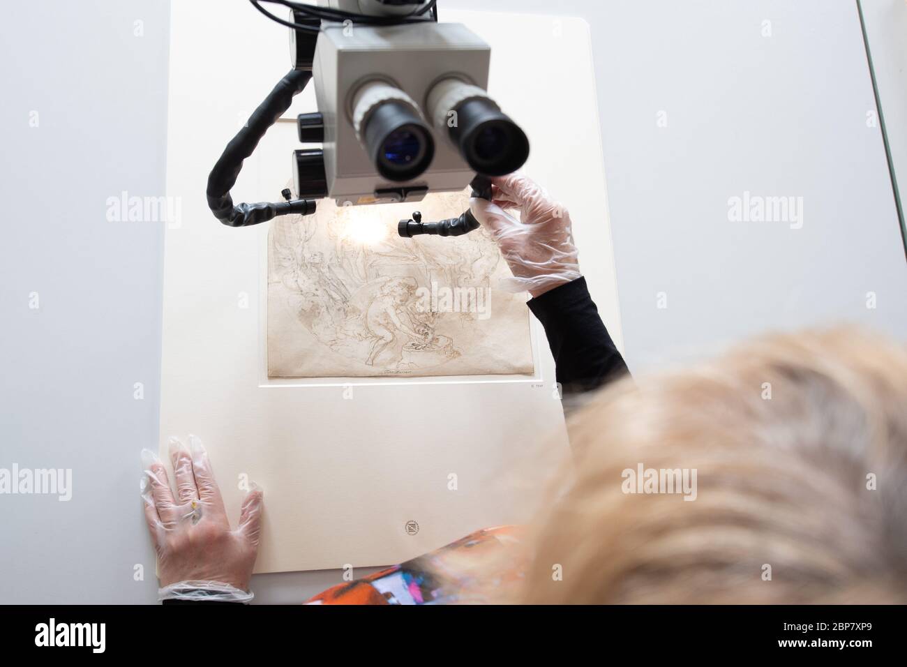 Dresda, Germania. 16 Apr 2020. Wiebke Schneider, restauratore Kupferstich-Kabinet, ispeziona il disegno 'Allegoria del sonno' di Taddeo Zuccari con un microscopio nel laboratorio di restauro del Kupferstich-Kabinet. Il Kupferstich-Kabinet festeggia quest'anno il suo 300° anniversario con una mostra per l'anniversario. Credit: dpa/dpa-Zentralbild/dpa/Alamy Live News Foto Stock