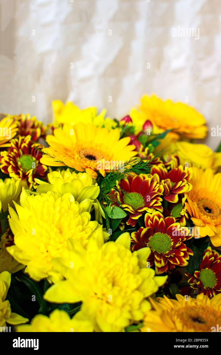 Bel bouquet con crisantemi gialli e rossi da vicino. Foto Stock