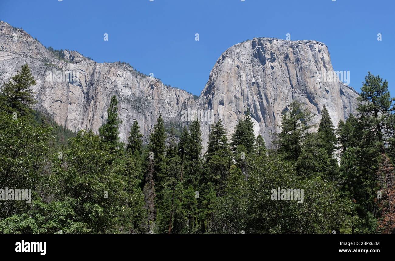 Paesaggio panoramico con montagne e foresta Yosemite parco nazionale Foto Stock