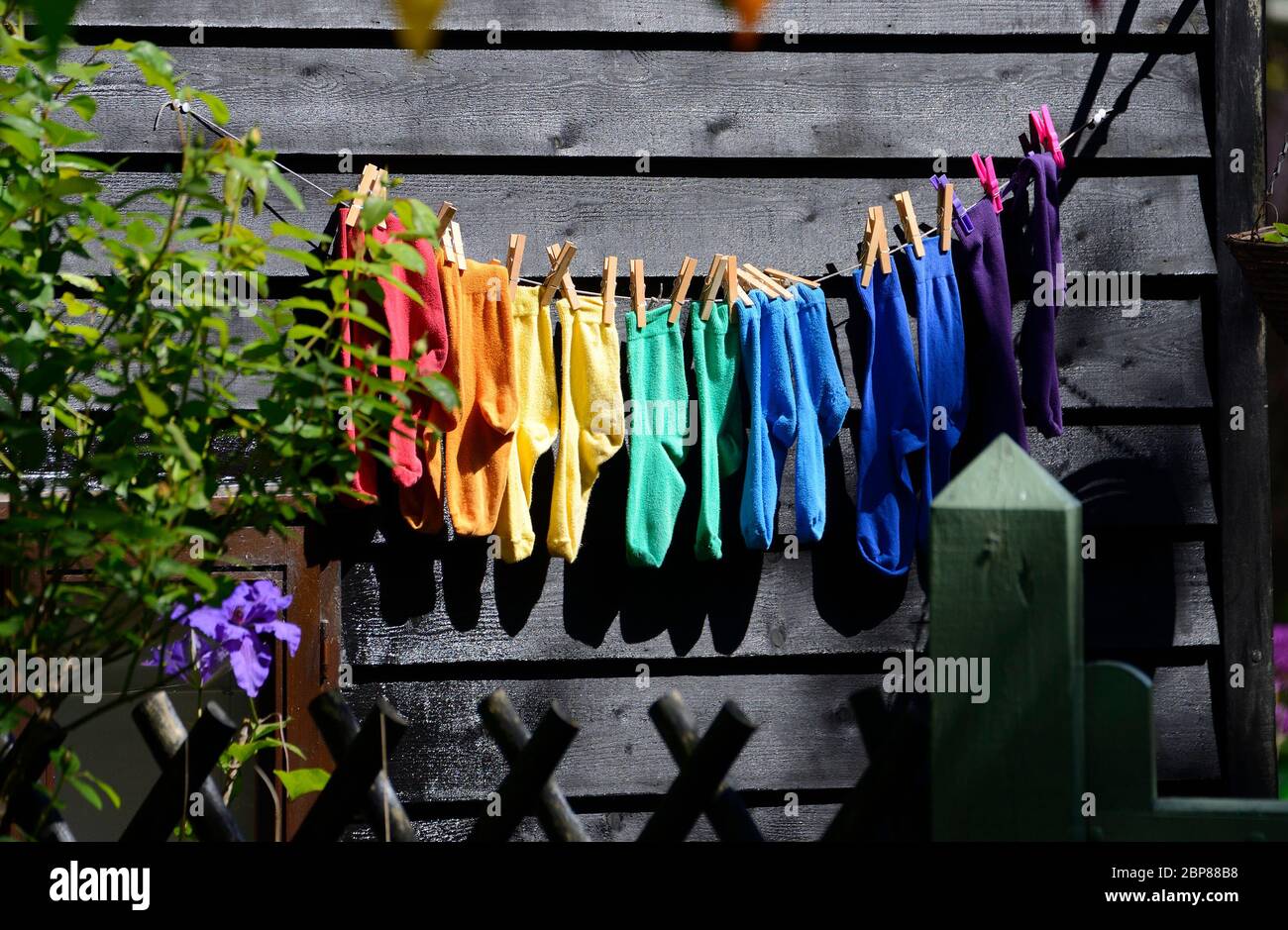 Loose Village, Kent, Regno Unito. 18 maggio 2020. Un arcobaleno di calze appesi su una linea di lavaggio fa un cambiamento dai disegni nelle finestre come un ringraziamento a NHS e lavoratori essenziali Credit: Phil Robinson/Alamy Live News Foto Stock