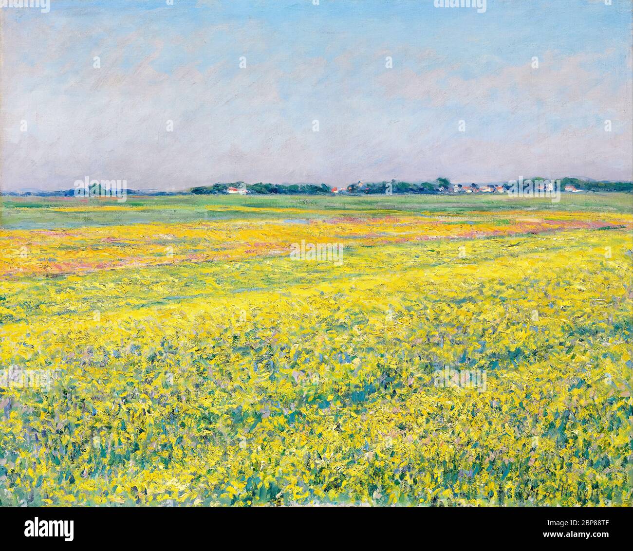 Gustave Caillebotte, la pianura di Gennevilliers: Campi gialli, pittura di paesaggio, 1884 Foto Stock