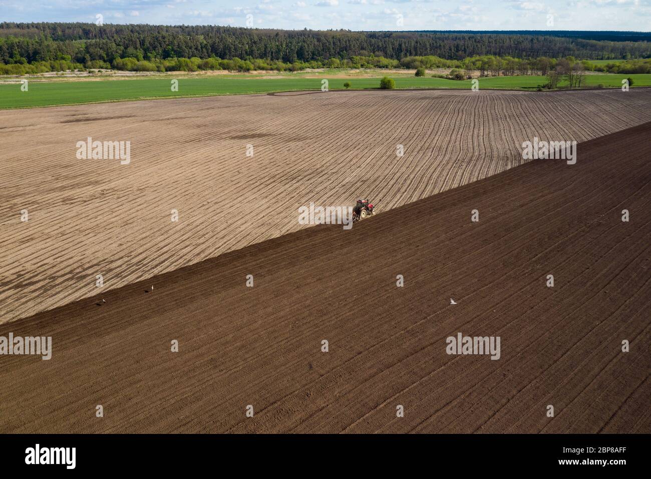 Il trattore sta arando il campo agricolo, vista aerea Foto Stock