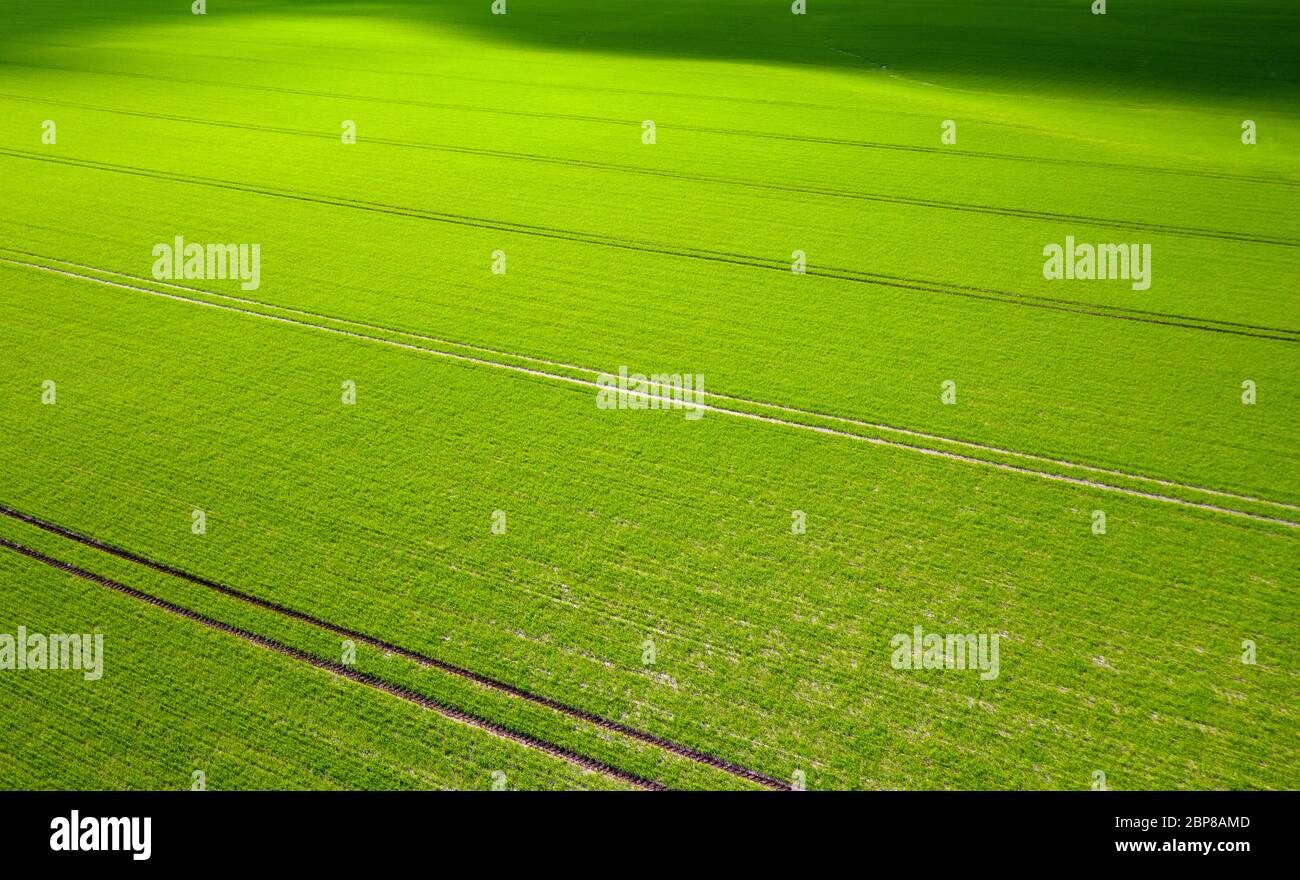 Campo verde fattoria, vista aerea Foto Stock