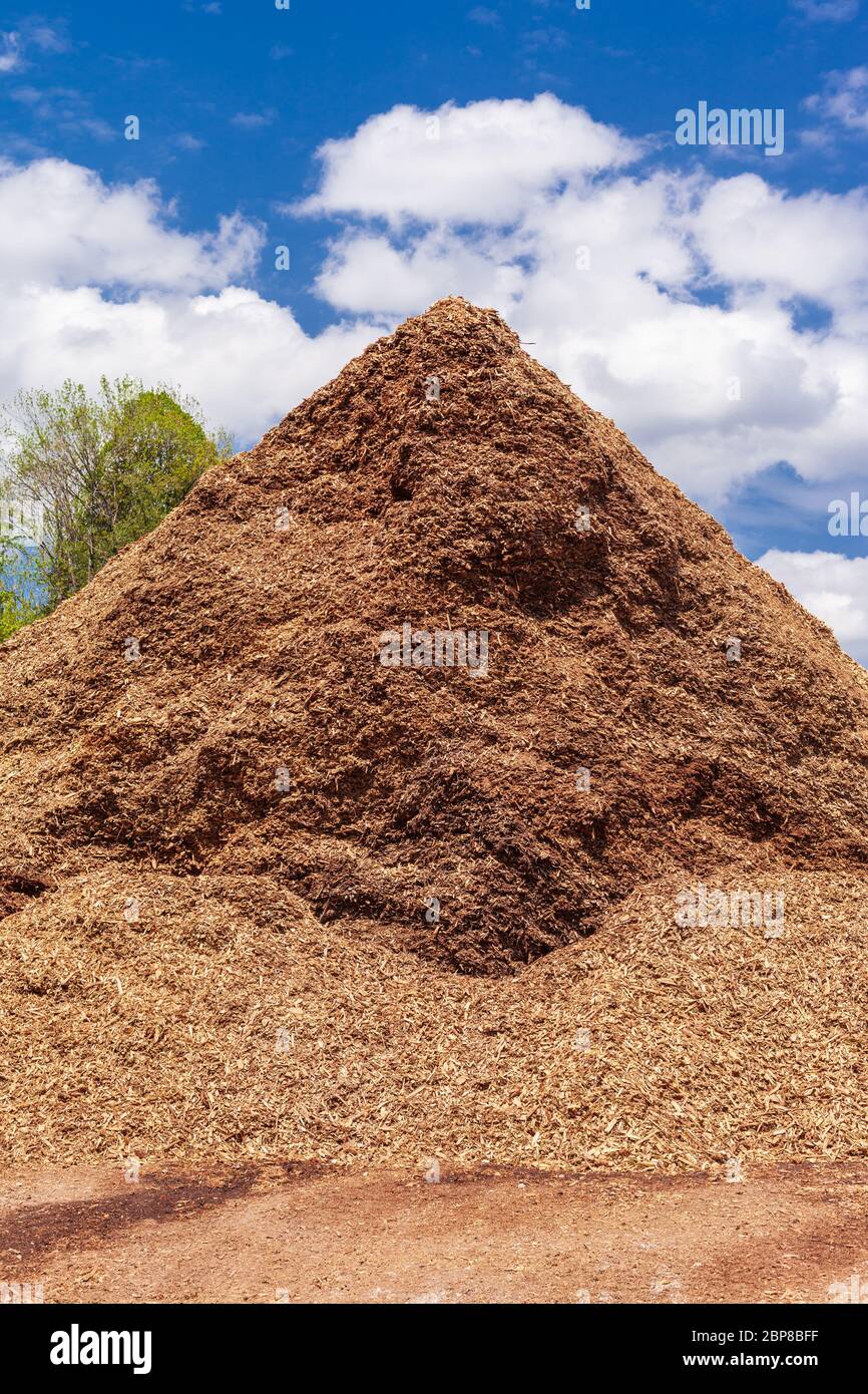 Montagna di cascami e rottami di legno, non compressi sotto forma di pezzi di corteccia e di alberi irregolarmente frantumati, essiccati, più scuri e più chiari. Foto Stock