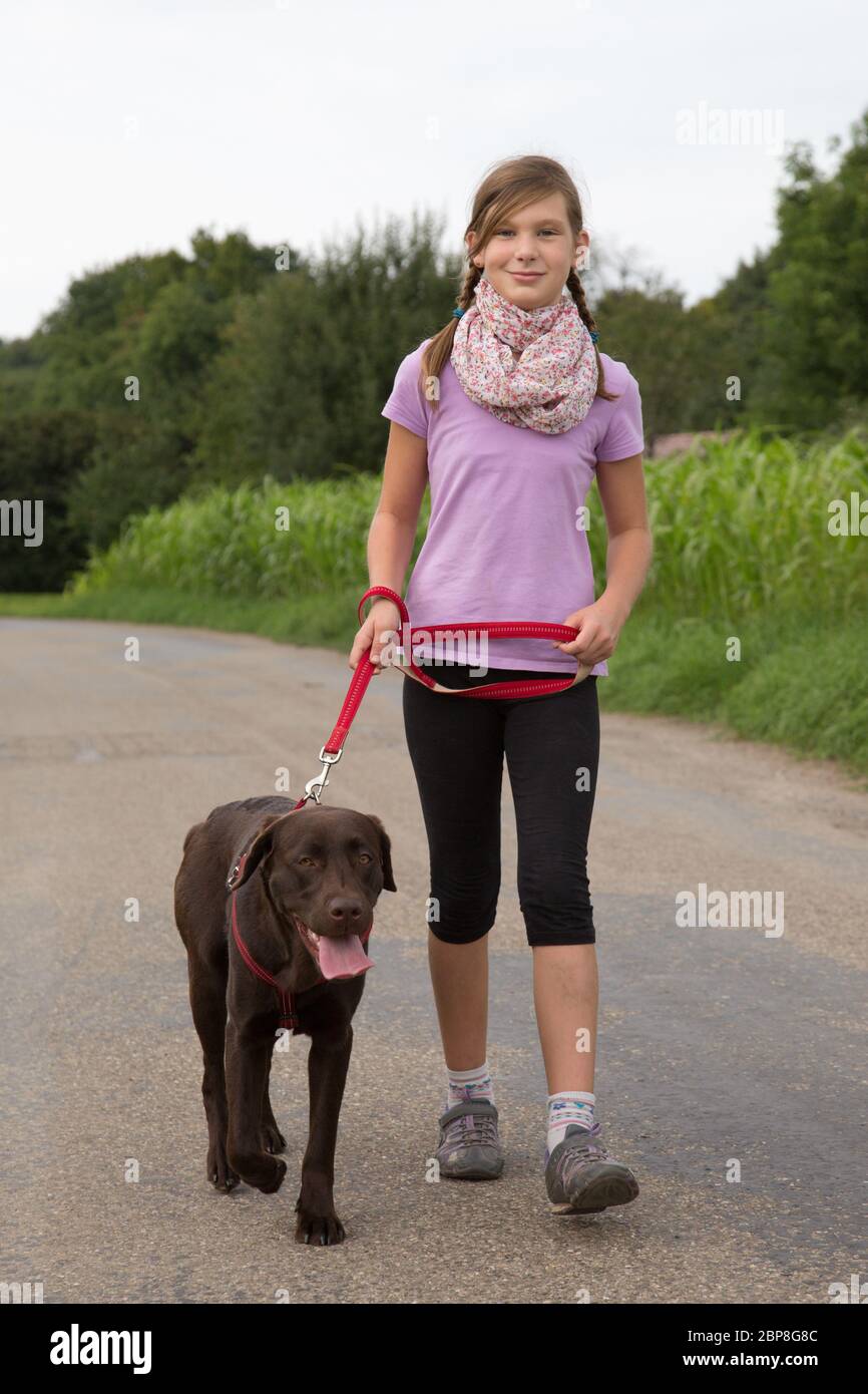 Ein Mädchen geht Mit einem Labrador Hund Gassi in den Feldern Foto Stock