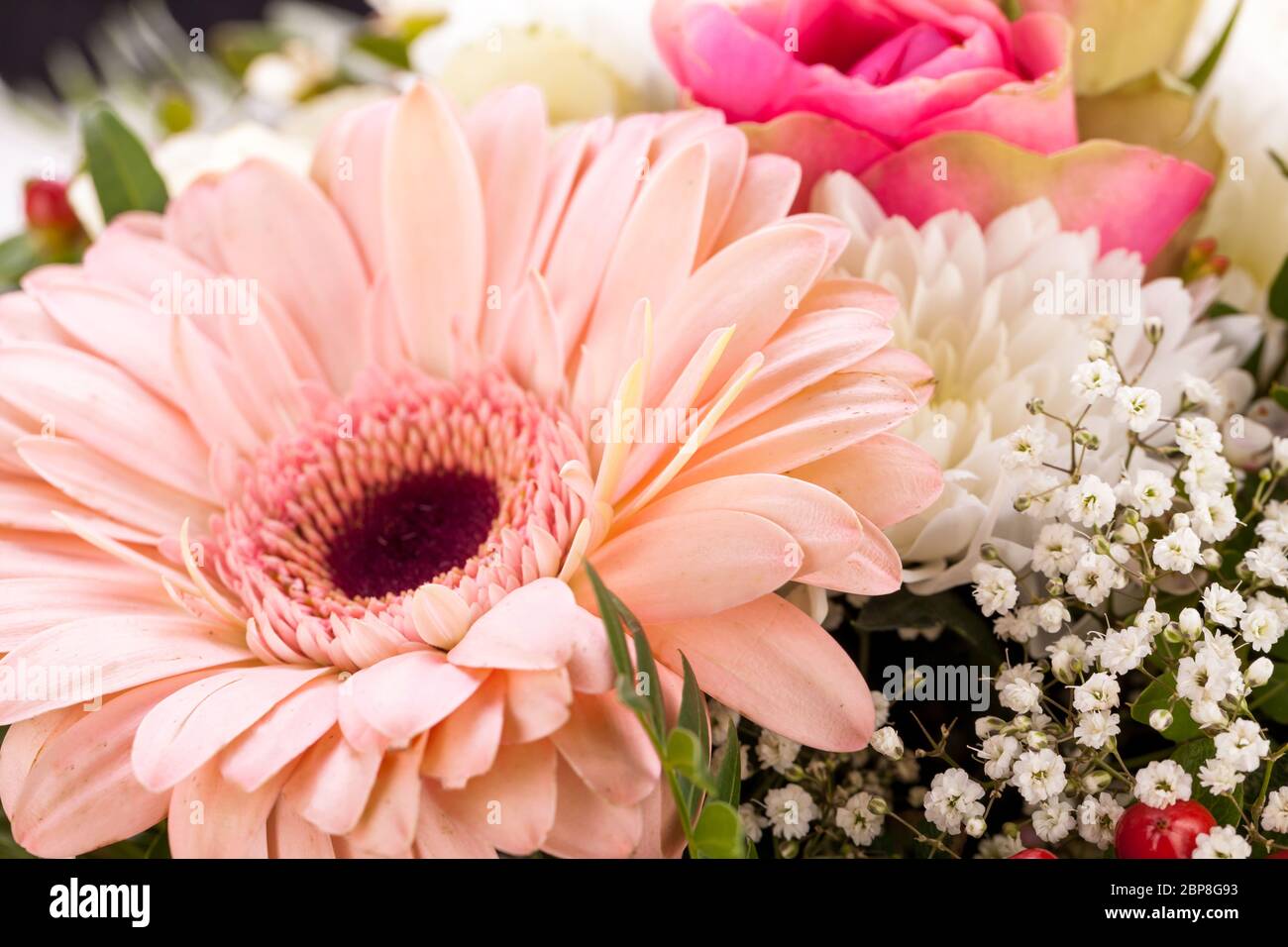 Frische schöne schnittblumen strauss in rosa weiss gerbera rosen grün festlich dekoration Foto Stock