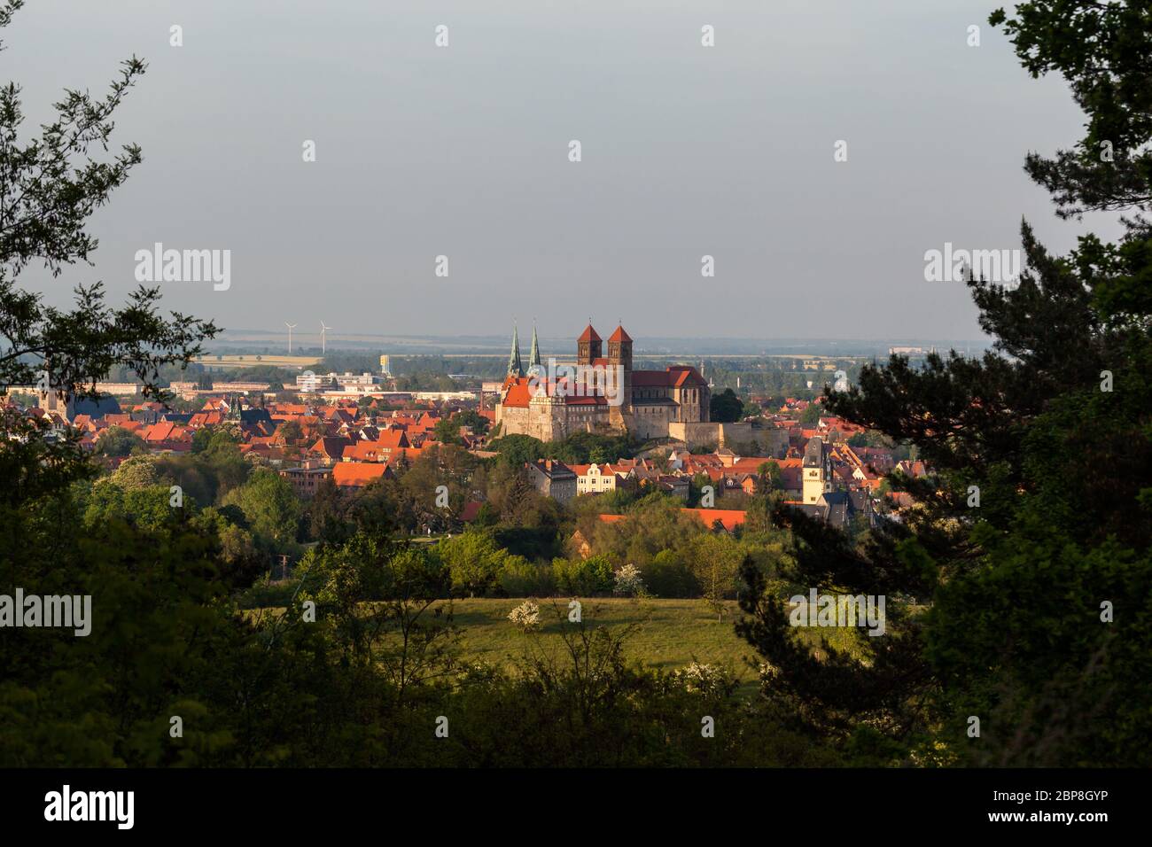 Blick auf das Schloss und die Stiftskirche von Quedlinburg Foto Stock