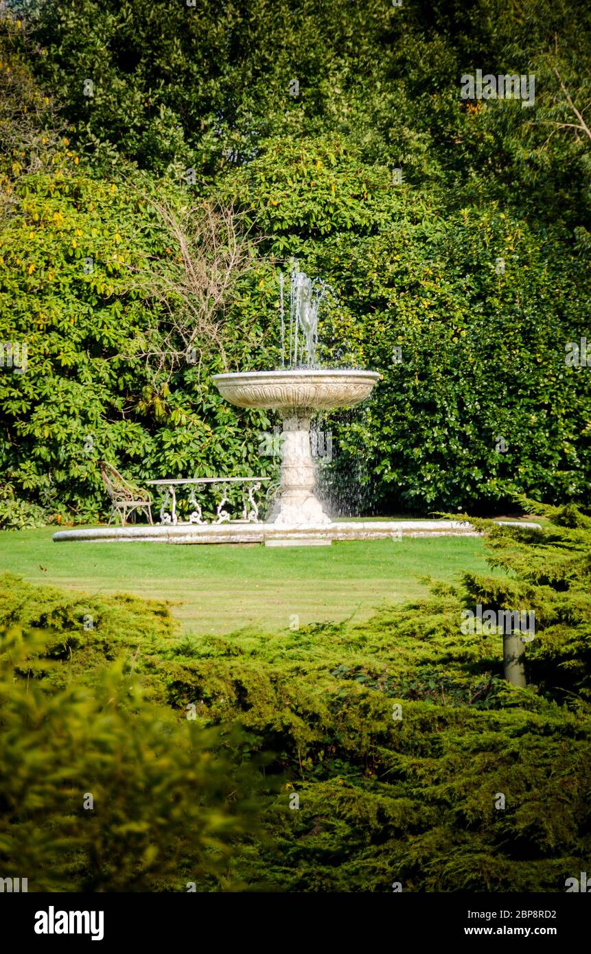 Fontana di acqua incorniciato da fogliame verde Foto Stock