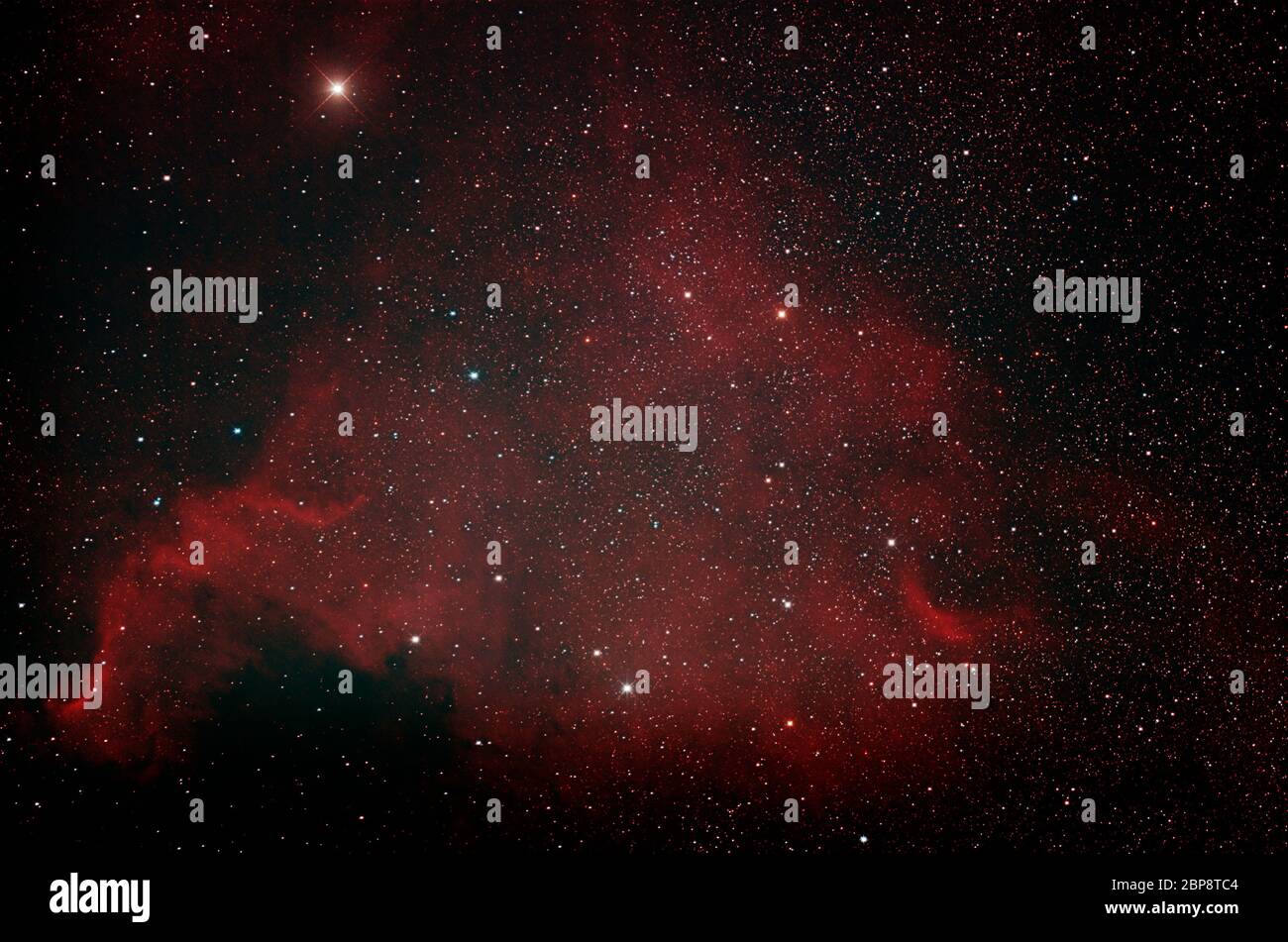 NGC 7000 Nord America Nebula nella costellazione di Cignus, nebulosa a grande emissione con filtro idrogeno alfa. Foto Stock