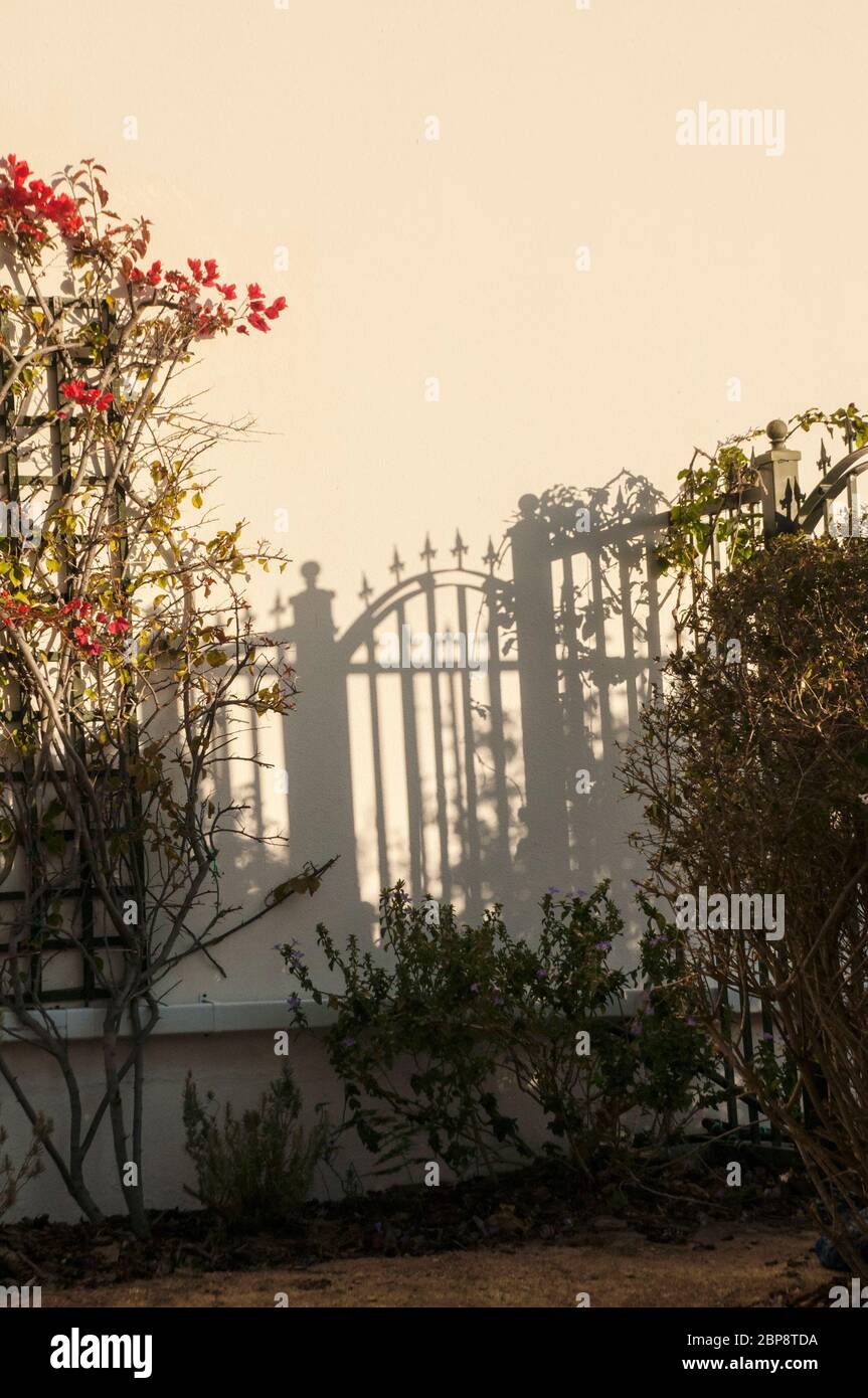 Strane ombre di un cancello giardino su un muro Foto Stock