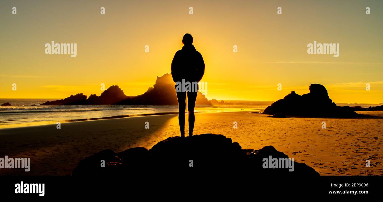 Pfeiffer Beach in Big Sur, CALIFORNIA, STATI UNITI D'AMERICA Foto Stock