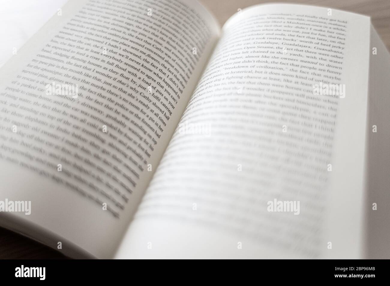 Close up di un libro aperto Foto Stock