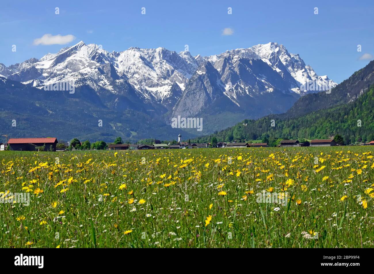 Frühlingswiese vor Wettersteingebirge, Garmisch-Partenkirchen Foto Stock