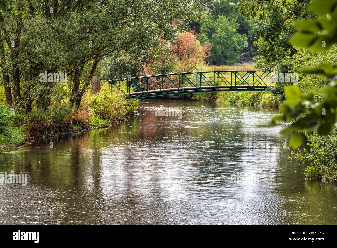 Vista da sogno di Illenau e del Ponte del Diavolo (Teufelsbrücke), Riserva della biosfera Niedersächsische Elbtalaue, Lüneburg. Germania del Nord Foto Stock