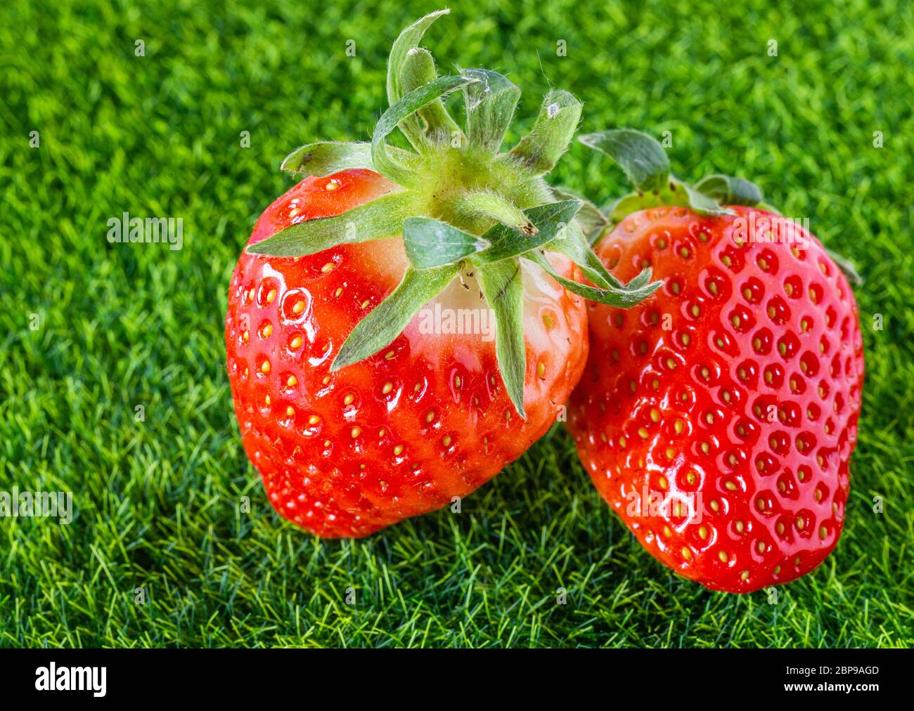 Fragole su sfondo verde. Frutta rossa di stagione. Fragole sull'erba. Frutta per dessert. Succosa e dolce. Fragole dal giardino. Foto Stock