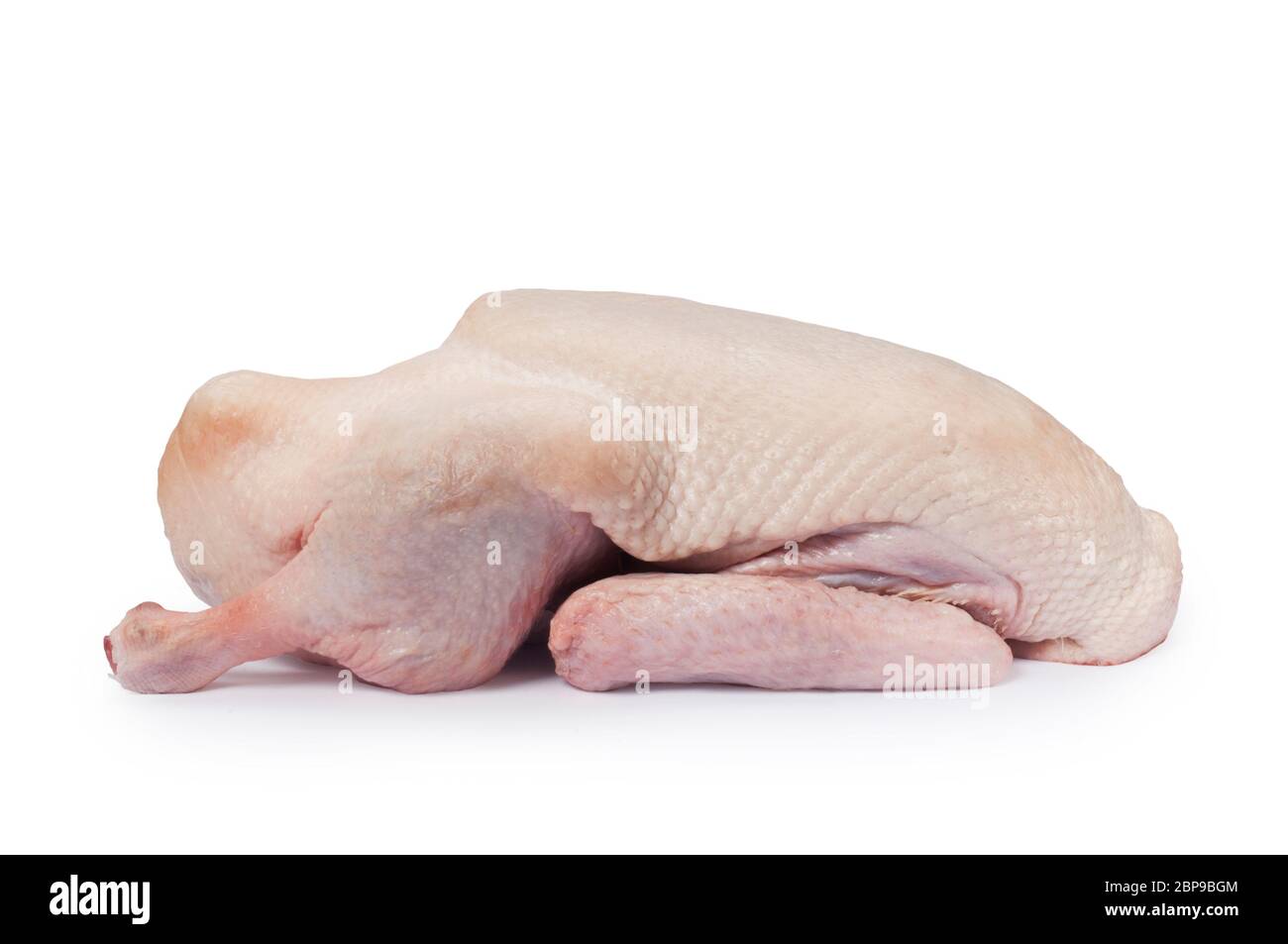 Studio di un'anatra intera, cruda, pronta al forno tagliata su uno sfondo bianco - John Gollop Foto Stock