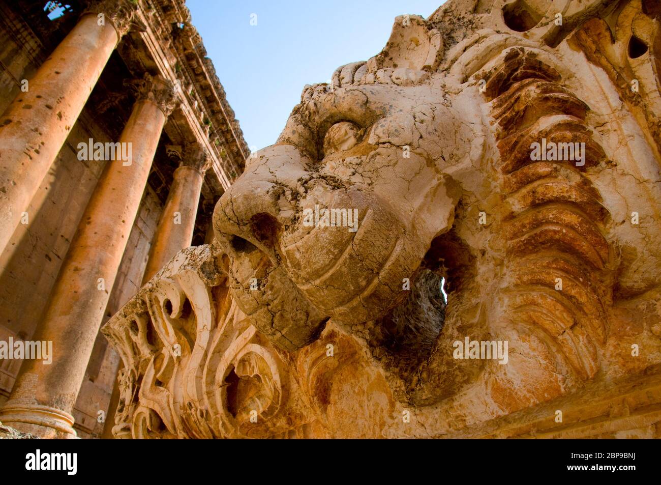 La statua della testa di Lione e il tempio di Bacco . Sito archeologico di Baalbek, patrimonio dell'umanità dell'UNESCO. Valle di Bekaa. Libano. Foto Stock