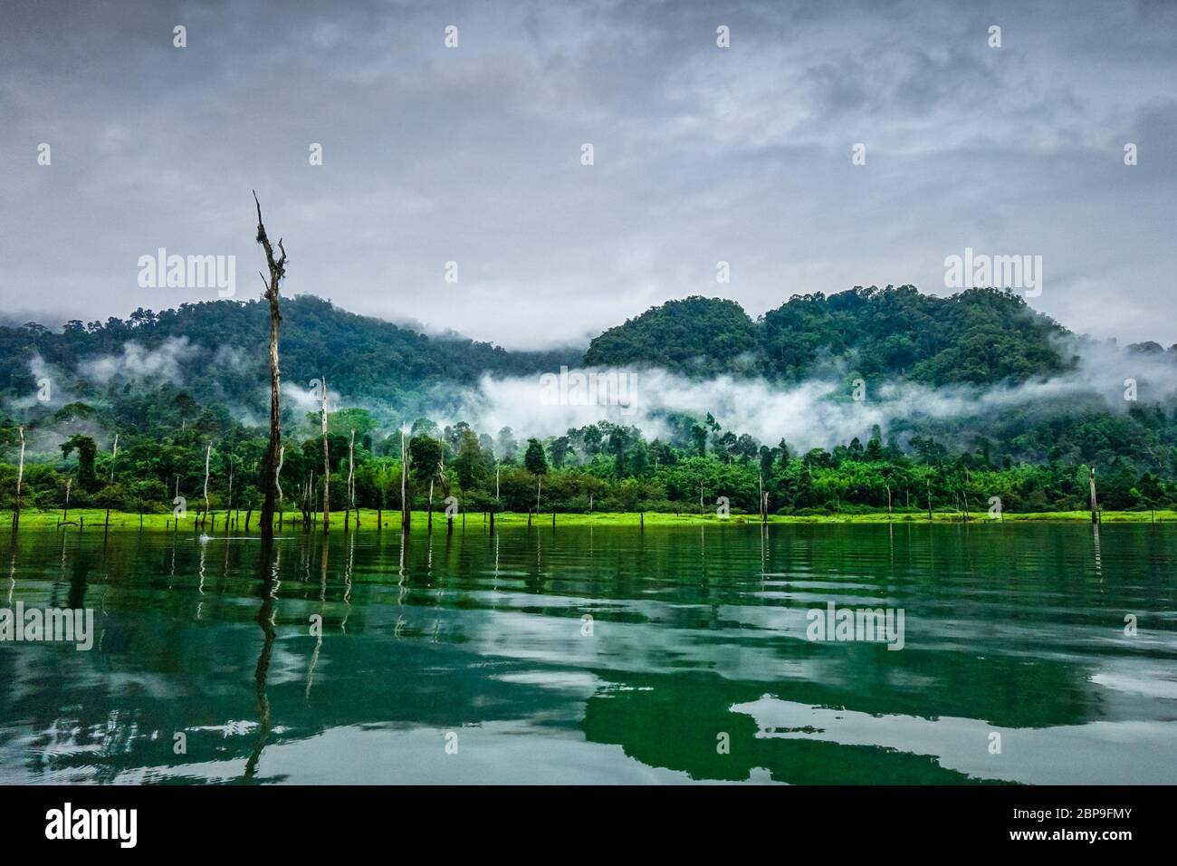 Foschia mattutina sulla Lan Cheow Lago in Khao Sok National Park, Thailandia Foto Stock