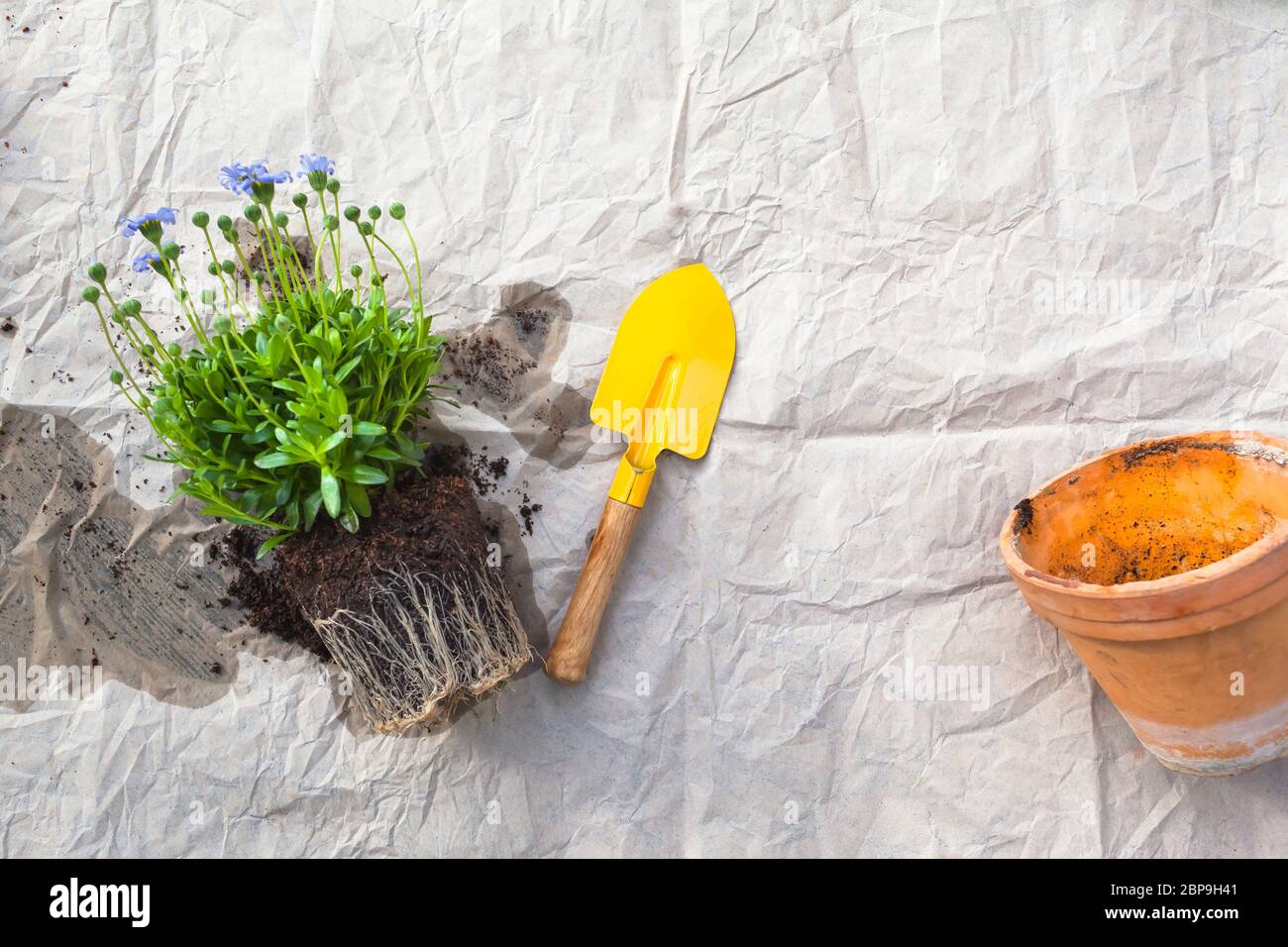 Repoting sfondo con piante da fiore e utensili nostalgici su carta da imballaggio usata (spazio copia) Foto Stock