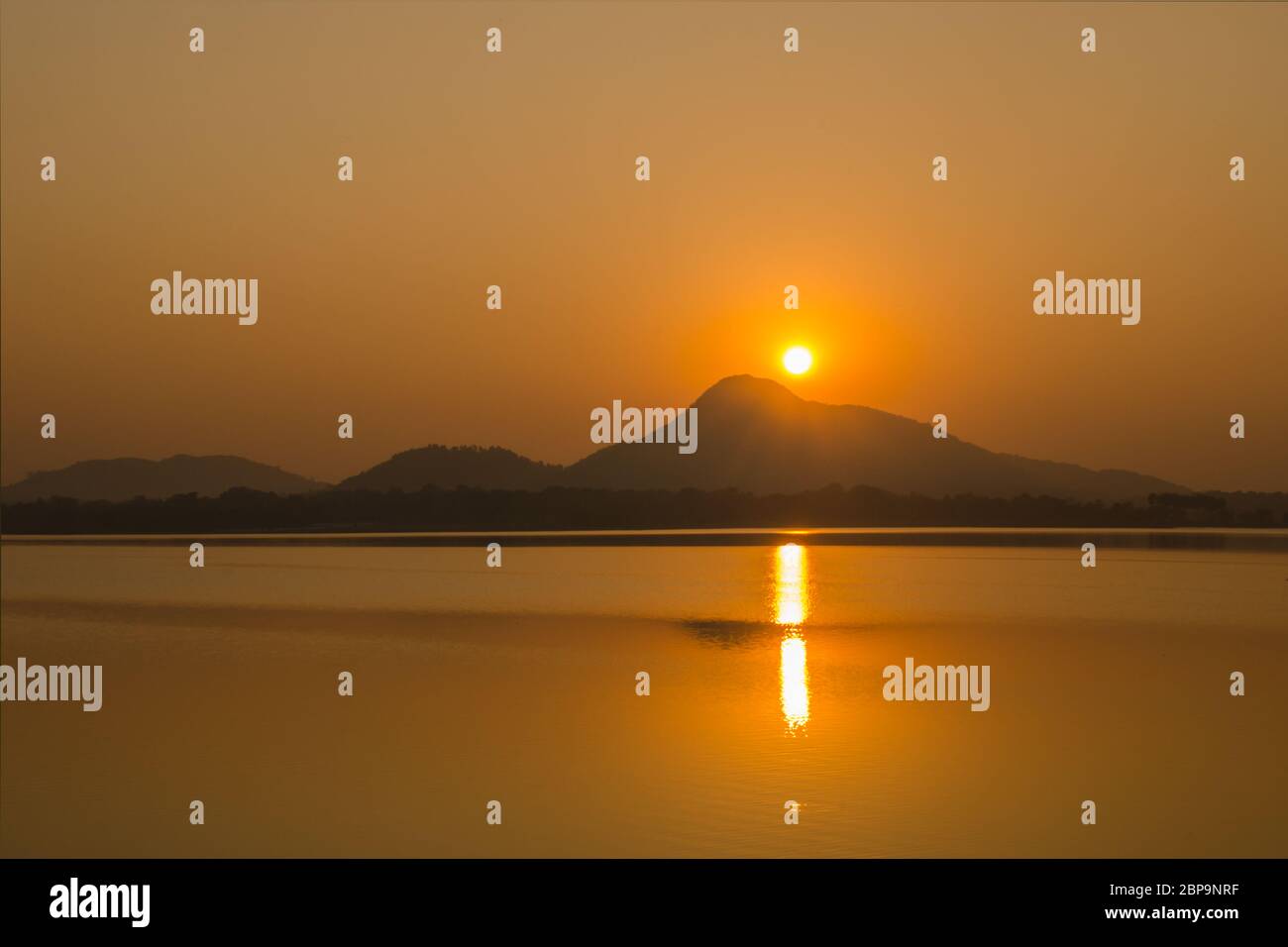 ora d'oro al bar anti purulia bengala occidentale india Foto Stock