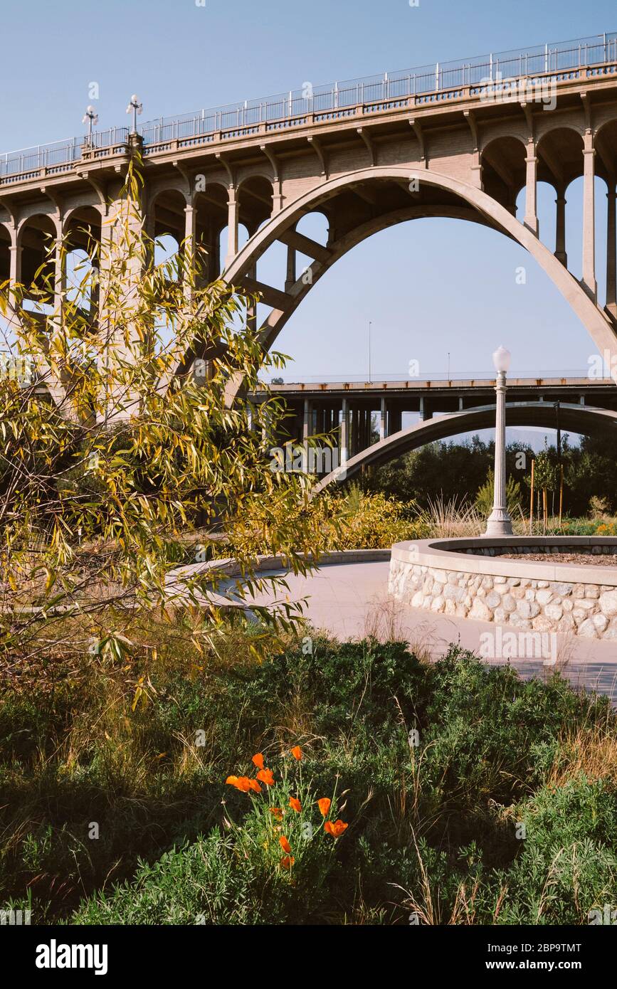 Vista di un parco con un vecchio ponte sullo sfondo - Pasadena - California - Viaggi - Vacanza Foto Stock
