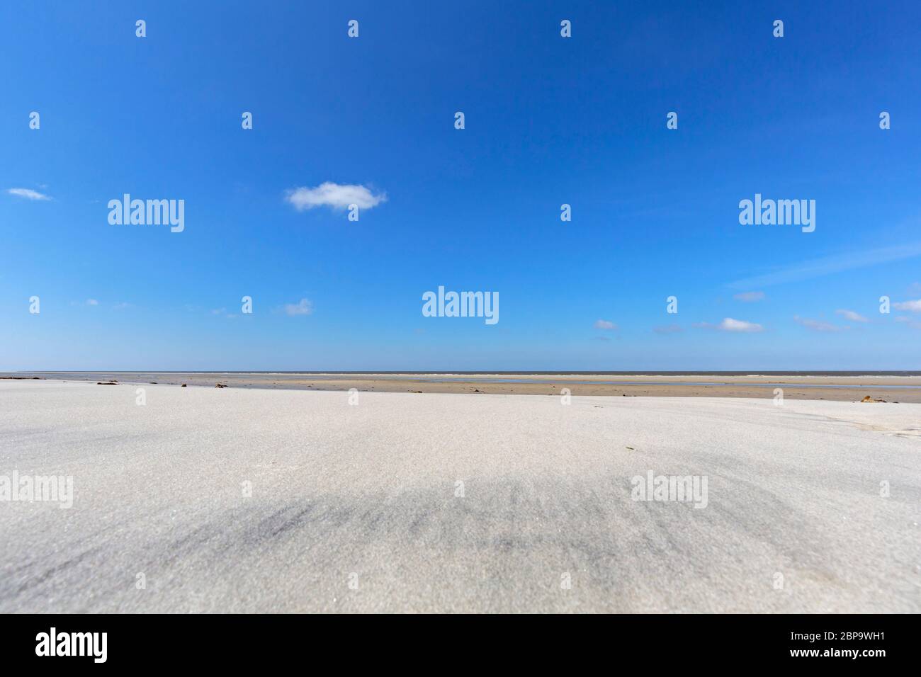 Spiaggia di sabbia in una giornata ventosa, Wadden Sea National Park, Schleswig-Holstein, Germania Foto Stock