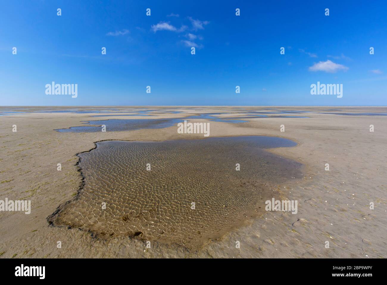 Piscine basse di marea su fanghflat, Parco Nazionale del Mare di Wadden, Schleswig-Holstein, Germania Foto Stock