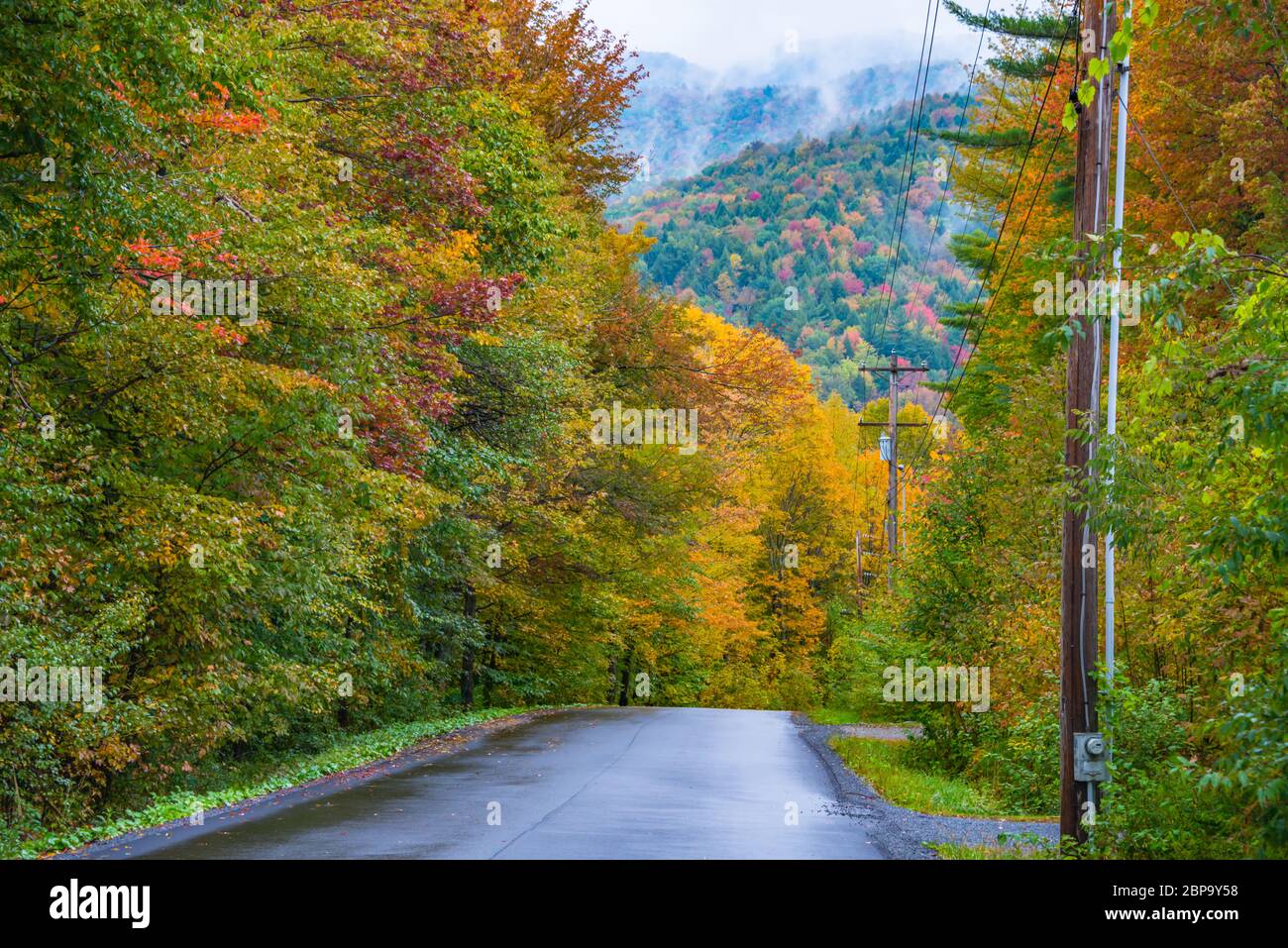 New England Back Road si snoda attraverso Fall Foliage, Jeffersonville, Vermont Foto Stock