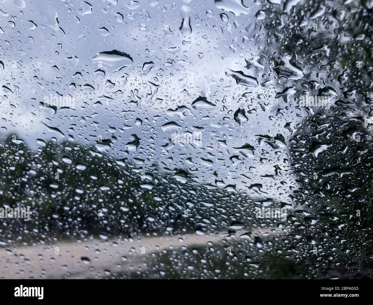 Le piogge si raccolgono sul parabrezza dell'automobile durante la giornata piovosa nella Big Cypress Preserve, Everglades, Florida Foto Stock