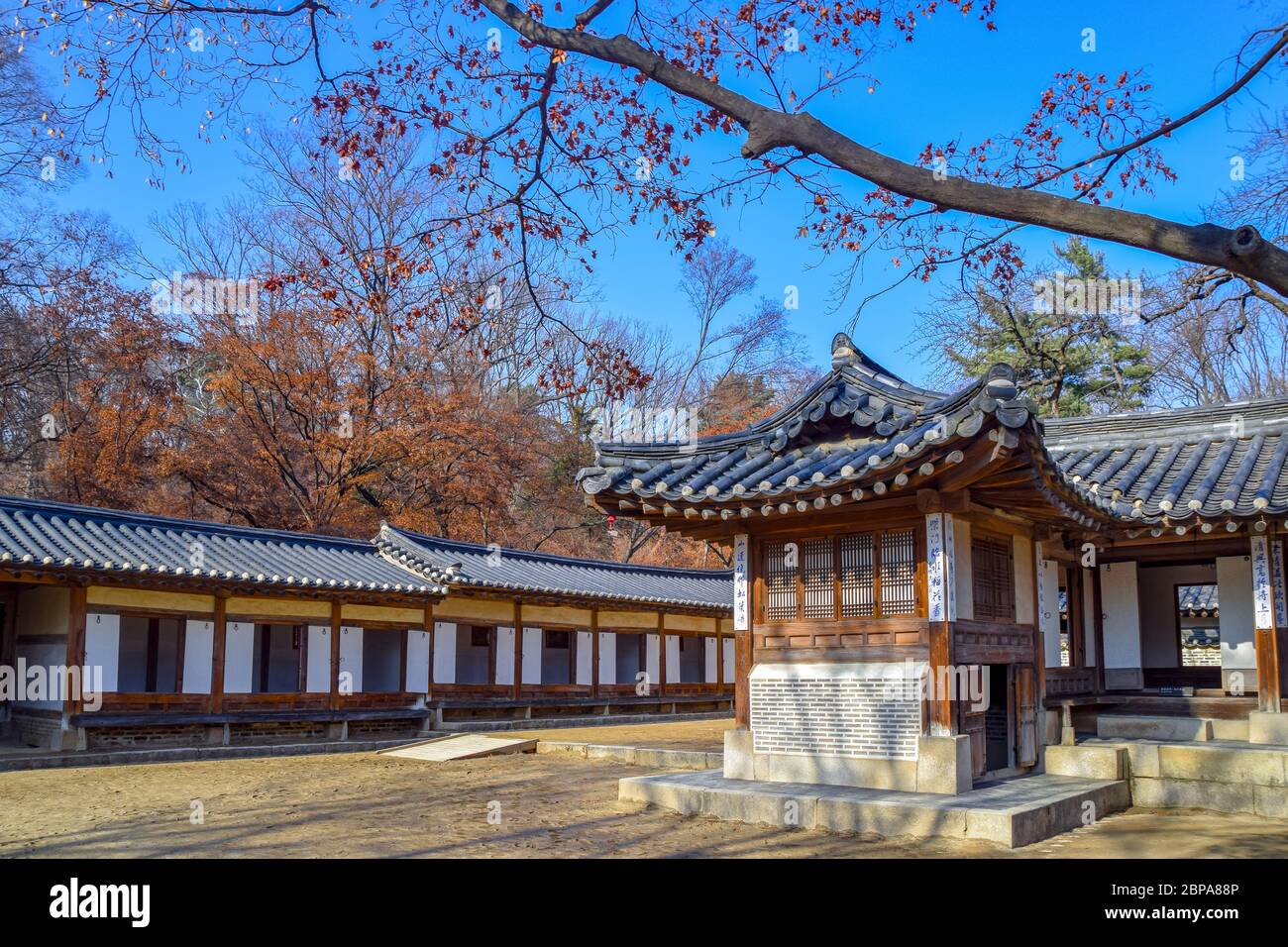 Seoul, Corea del Sud 1/12/2020 Changdeokgung è il meglio conservato dei "cinque grandi palazzi" della dinastia Joseon. Questa immagine è dal gar segreto Foto Stock