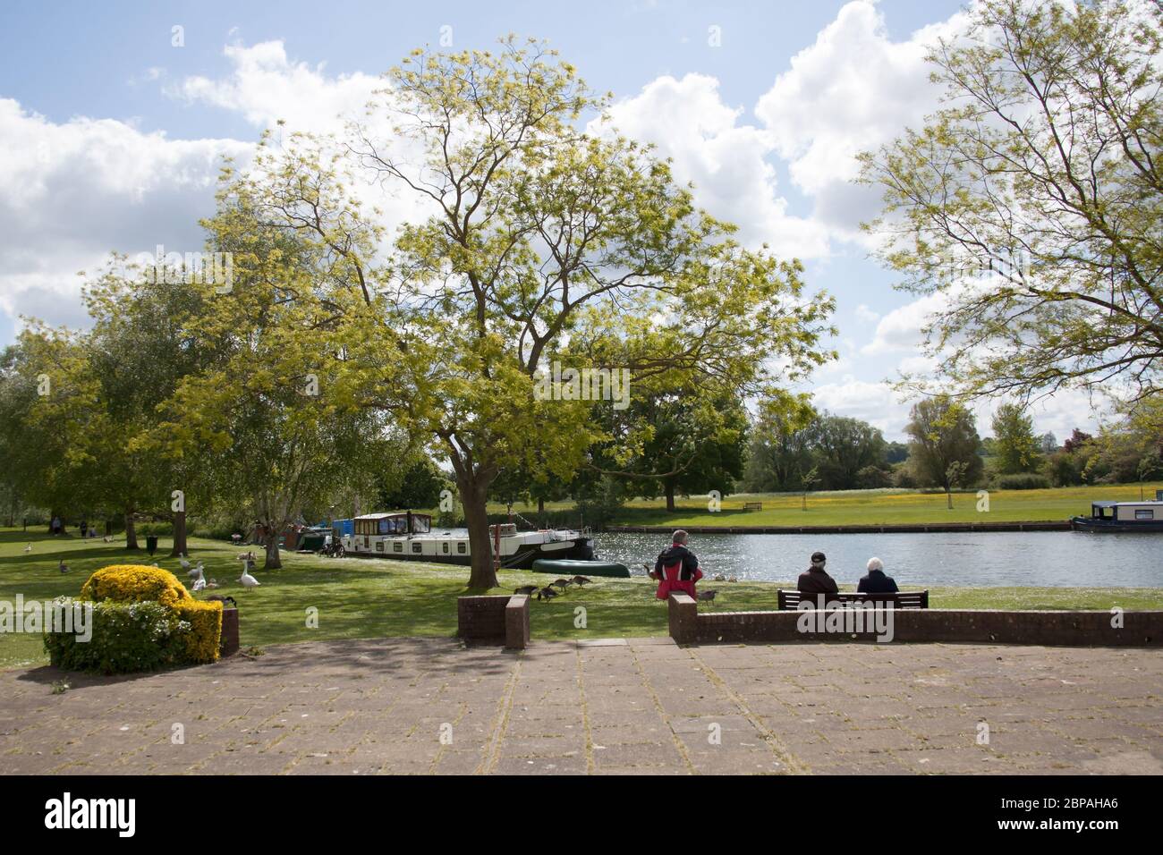 Vista sul Tamigi ad Abingdon, Oxfordshire, Regno Unito Foto Stock