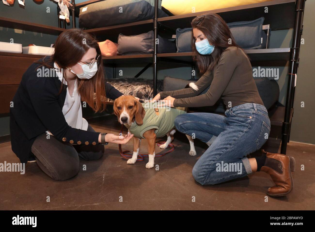 KLEP' S BOUTIQUE PER CANI Foto Stock
