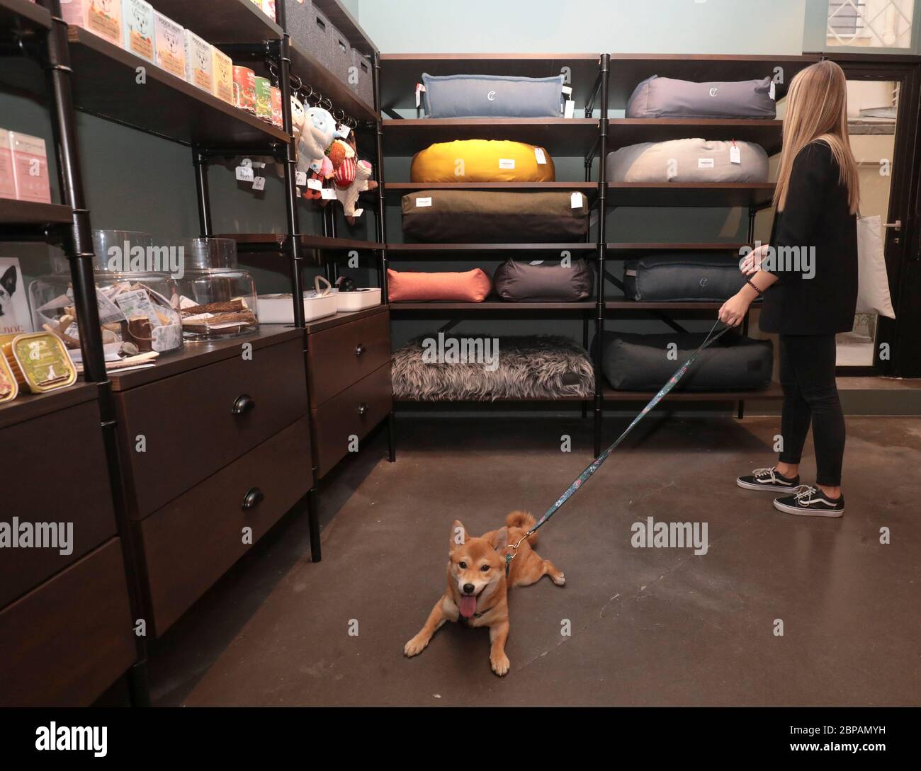 KLEP' S BOUTIQUE PER CANI Foto Stock