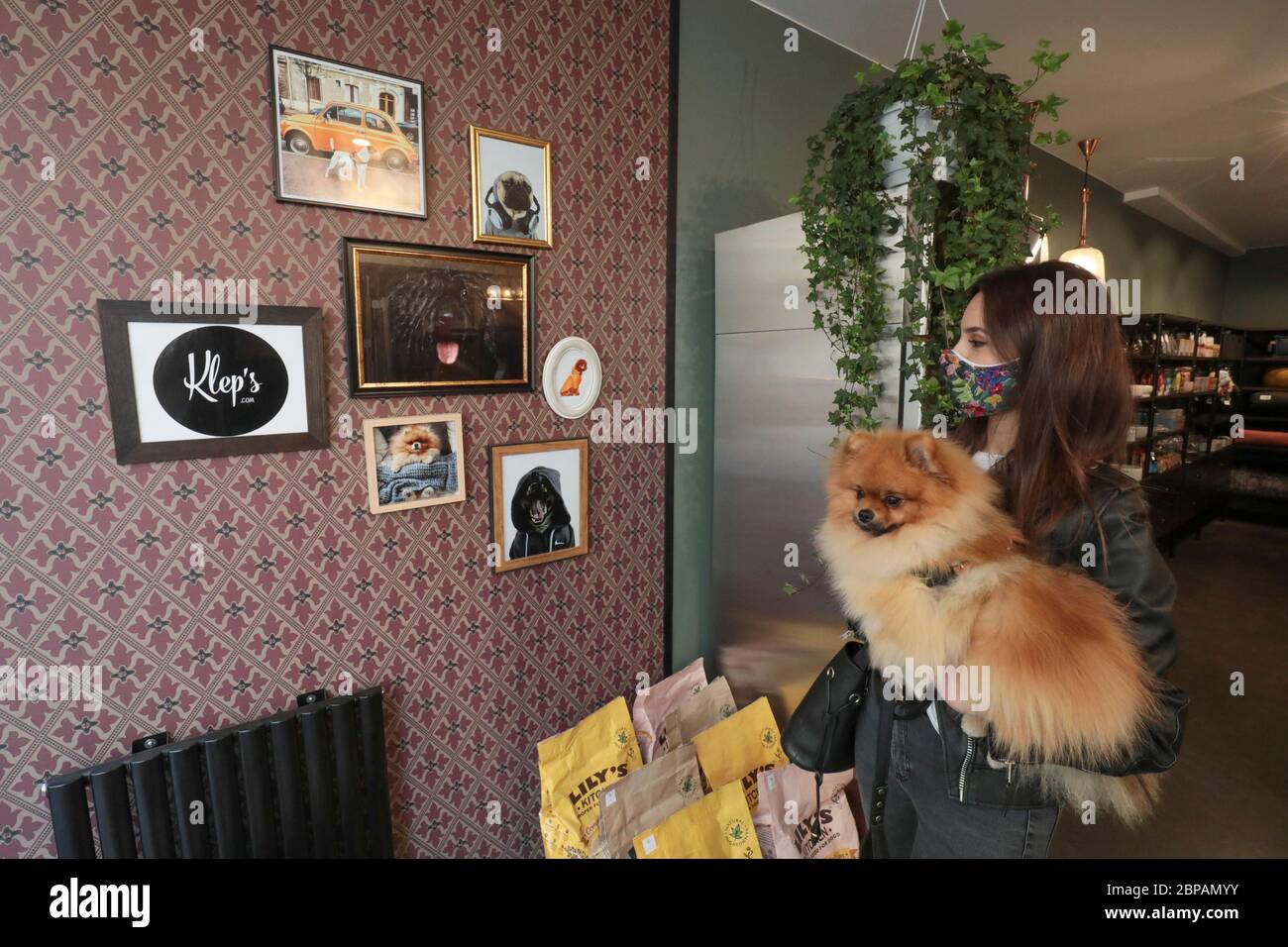 KLEP' S BOUTIQUE PER CANI Foto Stock