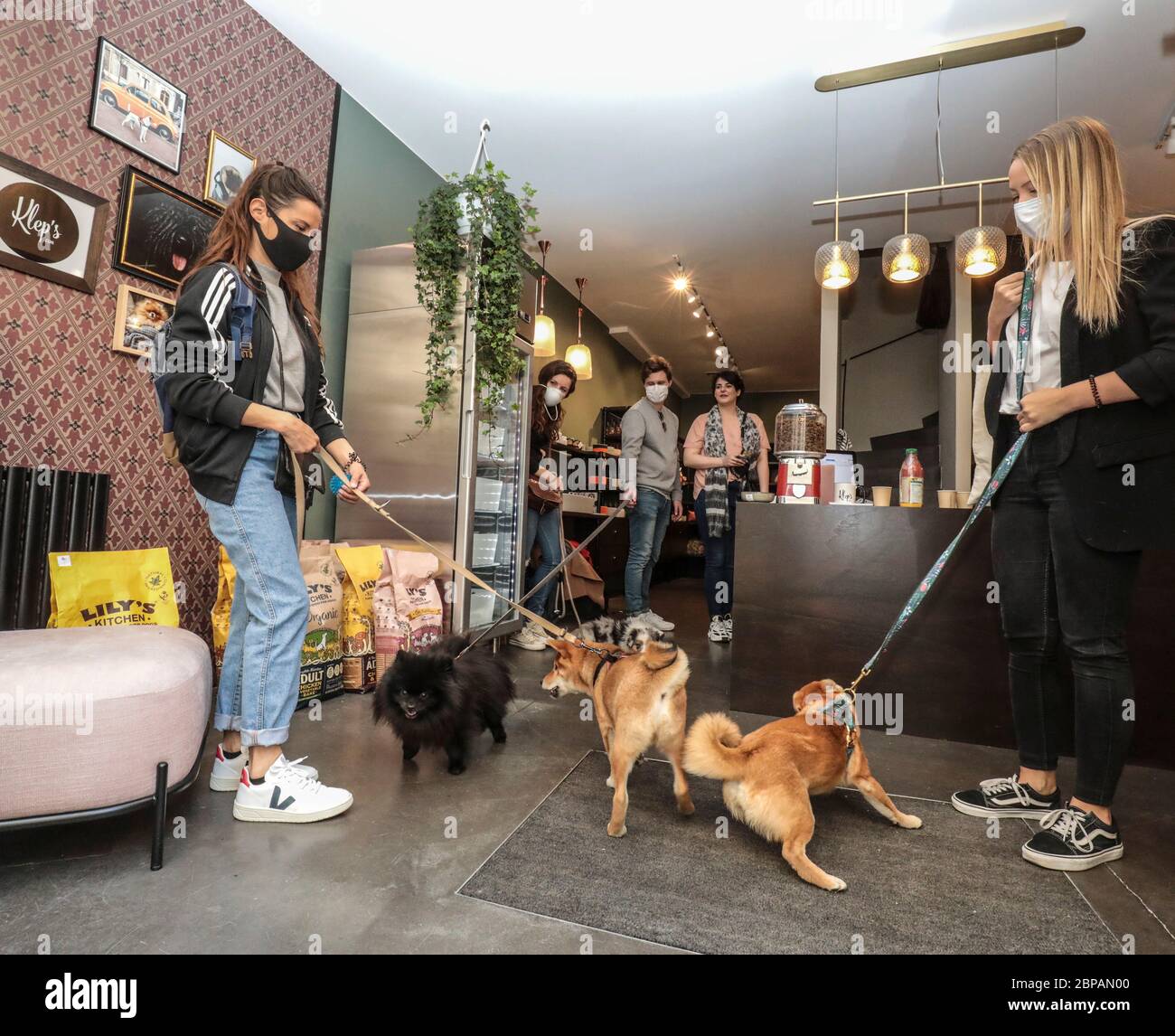 KLEP' S BOUTIQUE PER CANI Foto Stock