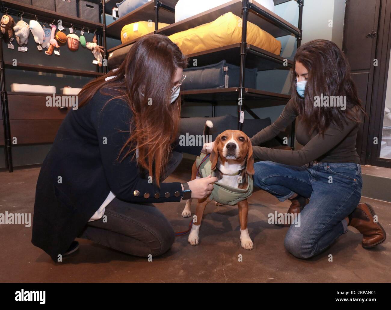 KLEP' S BOUTIQUE PER CANI Foto Stock