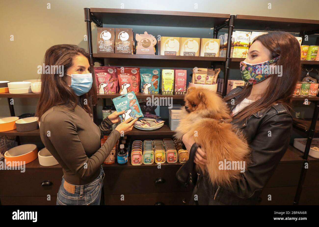 KLEP' S BOUTIQUE PER CANI Foto Stock