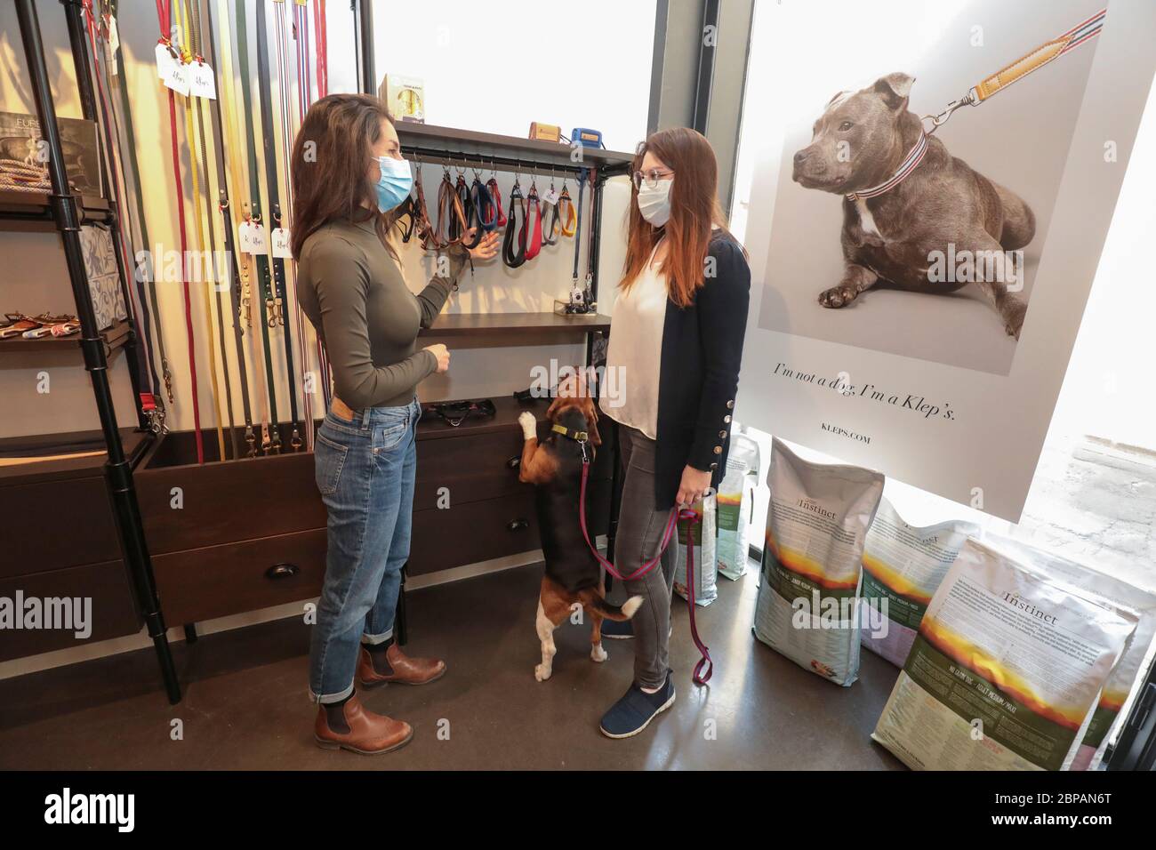 KLEP' S BOUTIQUE PER CANI Foto Stock